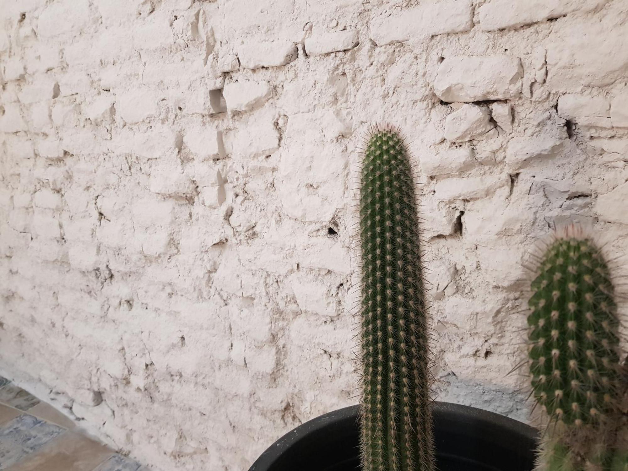 Apartmán B Reform Netflix Parking Segun Disponibilidad Sevilla Exteriér fotografie